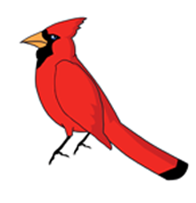 Opinion Leader Network cardinal